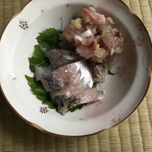 アジの刺身となめろう